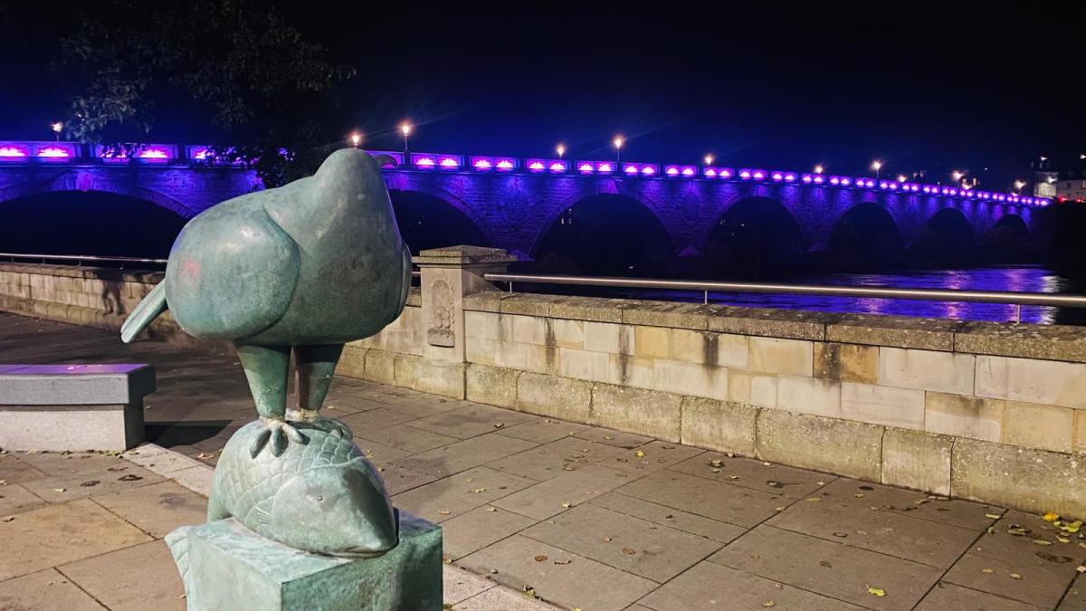 World Polio Day 24th October