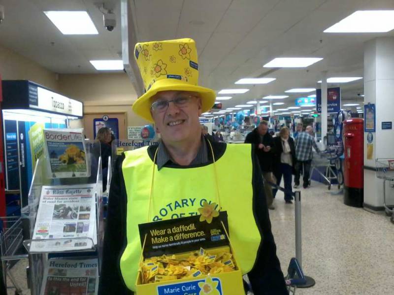 daffodil hat tesco