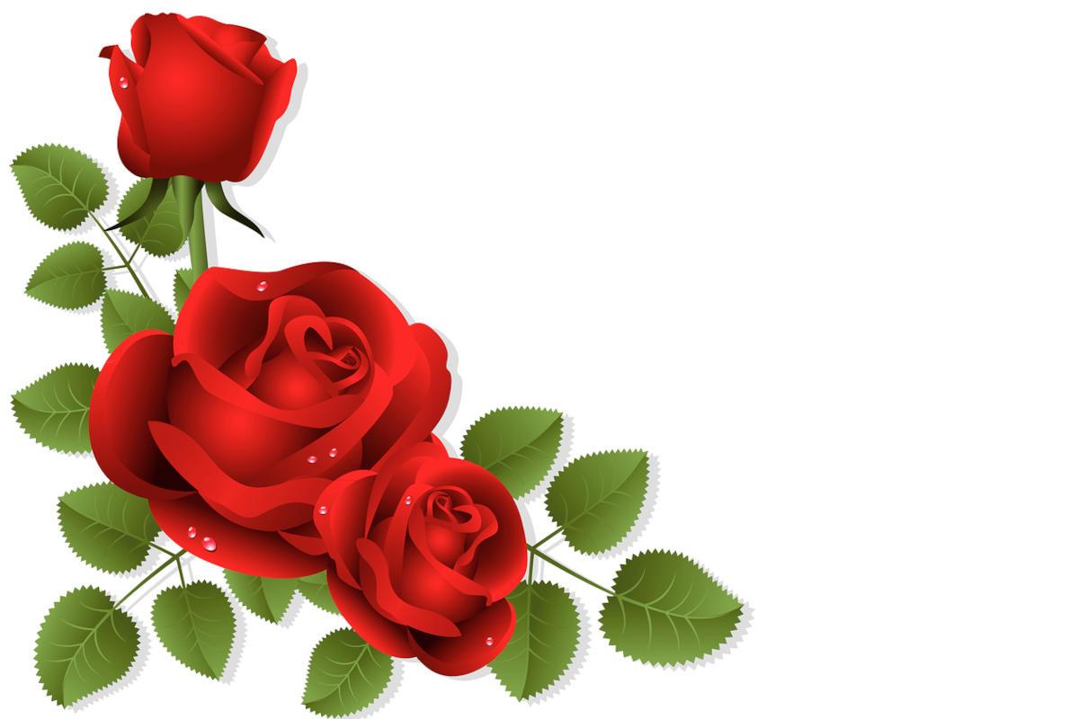 A small spray of roses.