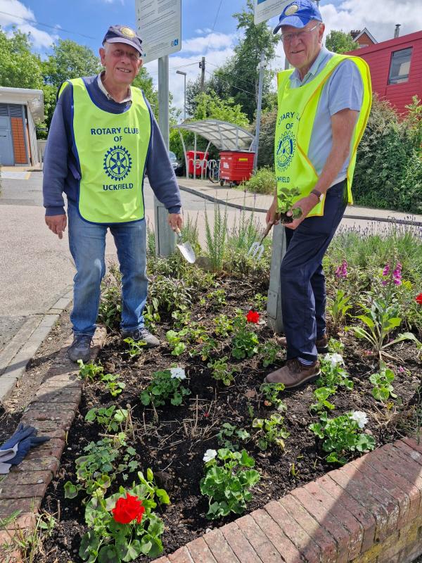 2024-2025 President Charles House, and Friend of Rotary Roy Thompson planting flowers at Uckfield Railway Station