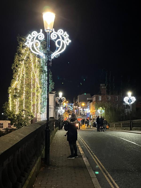 Tree of light switch on 2024