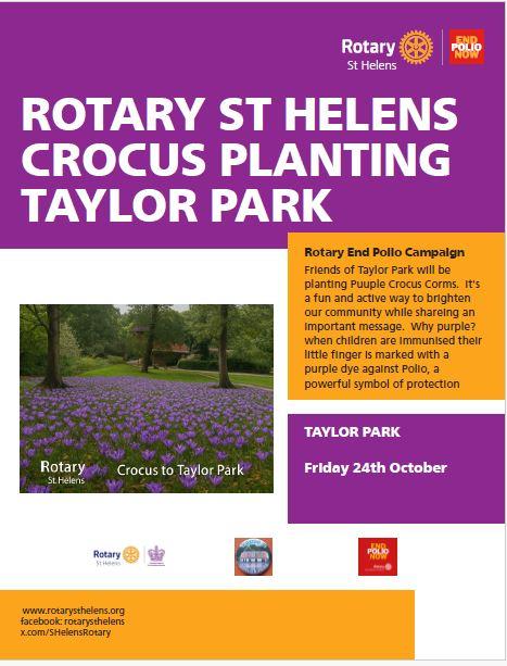 Taylor Park Crocus Planting