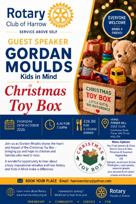 Toy Box Flyer
