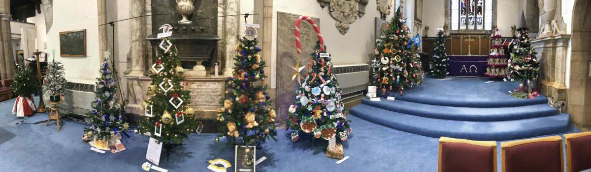 Some of the beautiful trees. 