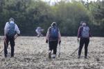 Metal Detecting