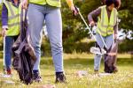 Litter picking