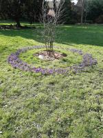 Visit to Hillfield Gardens