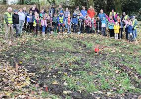 Crocus Planting for 