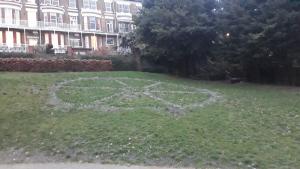 ShelterBox in Action