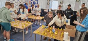 Duck Counting at QV Tech Dept