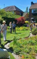 Mike Jackson's garden