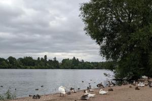 Ellesmere