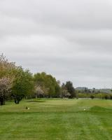 Seventh Green