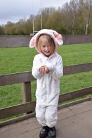 Its been a great year for Easter Bunnies