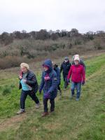 Post Christmas walk at Trelissick