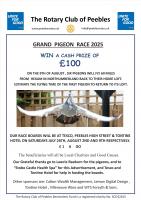 The Pigeons Are Flying Again