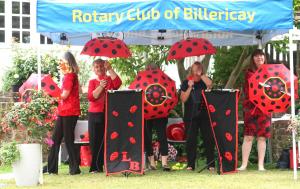 Ladybirds perform