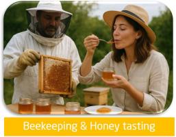 Local Bee Keeping & Honey Tasting