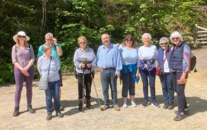 Bluebell Walk at Langton Wood