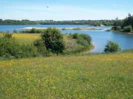 Carsington Water