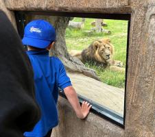 Rotary Children's Fun Day