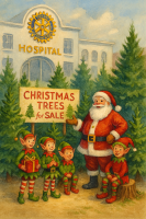 Christmas Tree Sales 2025