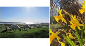 Winners of Melton Young Photographer 2025