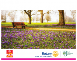 The Crocus in Bloom to mark the Campaign