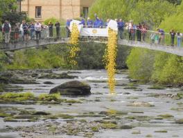 Duck Race and Fling