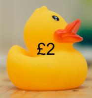 Duck Race 2026