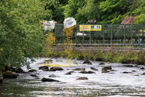 Duck Race Start 2025