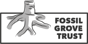 Visit to Fossil Grove
