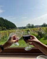 Visit to Glyndwr Vineyard