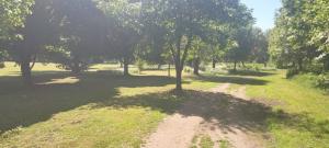 The Wallace Arboretum May 2025