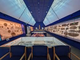 Sir David Attenborough at 100 - A Purbeck Celebration