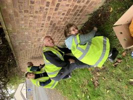 4,000 Purple4Polio crocus corms in Chinnor (3 Nov)