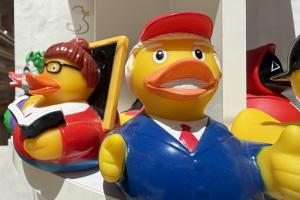 The 2026 Duck Race