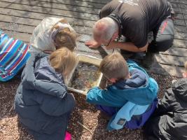 Pond Dipping Group