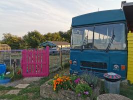 Visit to Ark At Egwood - 21st August 2025