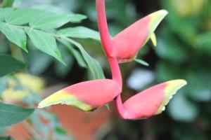 Speaker  Sally Callaghan  reception Dave Fleming