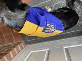 Malvern Rotary satellite club