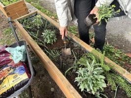 Helping the Garden Grow at Cheshire Home
