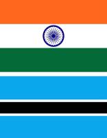 Tours of India and Botswana