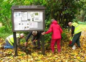 Crocus Planting at Knighton Green