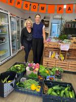 THE ALLOTMENT PROJECT
