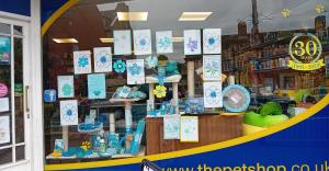 The Display