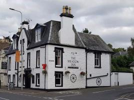 Festive Christmas dinner