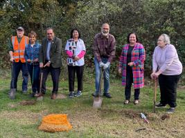 Crocus Plantation (In support of Purple4Polio campaign)