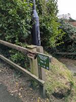 Bradda Head Nature Trail - Information Point Number 2