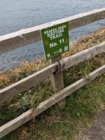 Bradda Head Nature Trail - Information Point Number 11